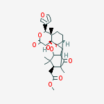 CAS 173693-50-0 molecular structure