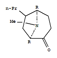 Structure of 211517-34-9